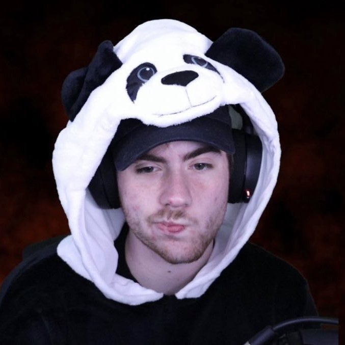 2 pandas 🐼 -rts are cool #pandatwtselfieday