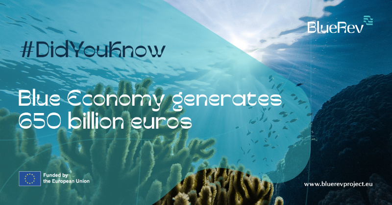 #DidYouKnow 🤔
Traditional #BlueEconomy creates 4.5 million direct jobs and generates over 650 billion euros in turnover.💎 With such impressive numbers, we must accelerate the transition to the new #BlueBioeconomy.
#Sustainable #future with healthy oceans!
Welcome to @BlueRevEU!