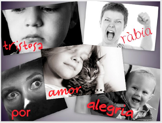 Pla Educatiu d'Entorn de Torredembarra tweet media