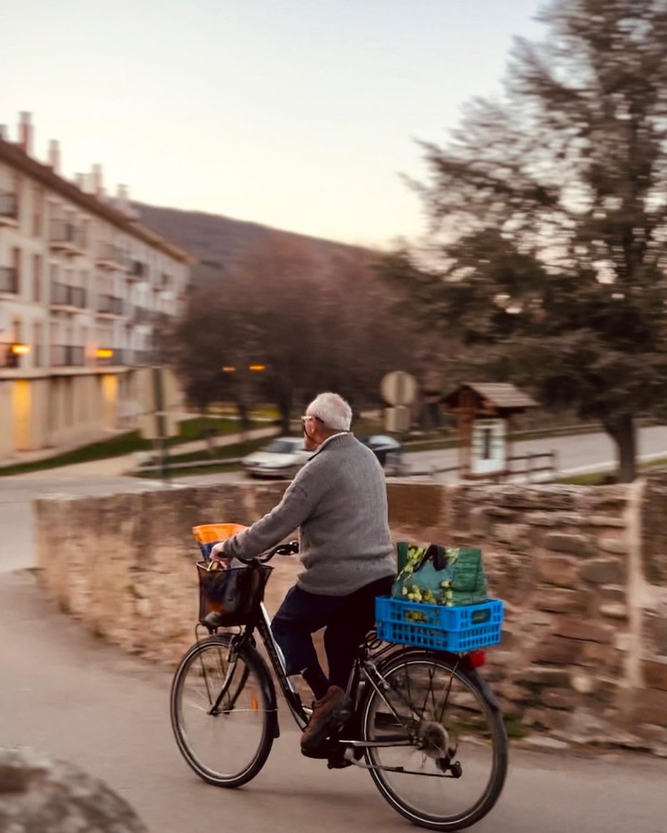 Mariette dT-Helmbold tweet media