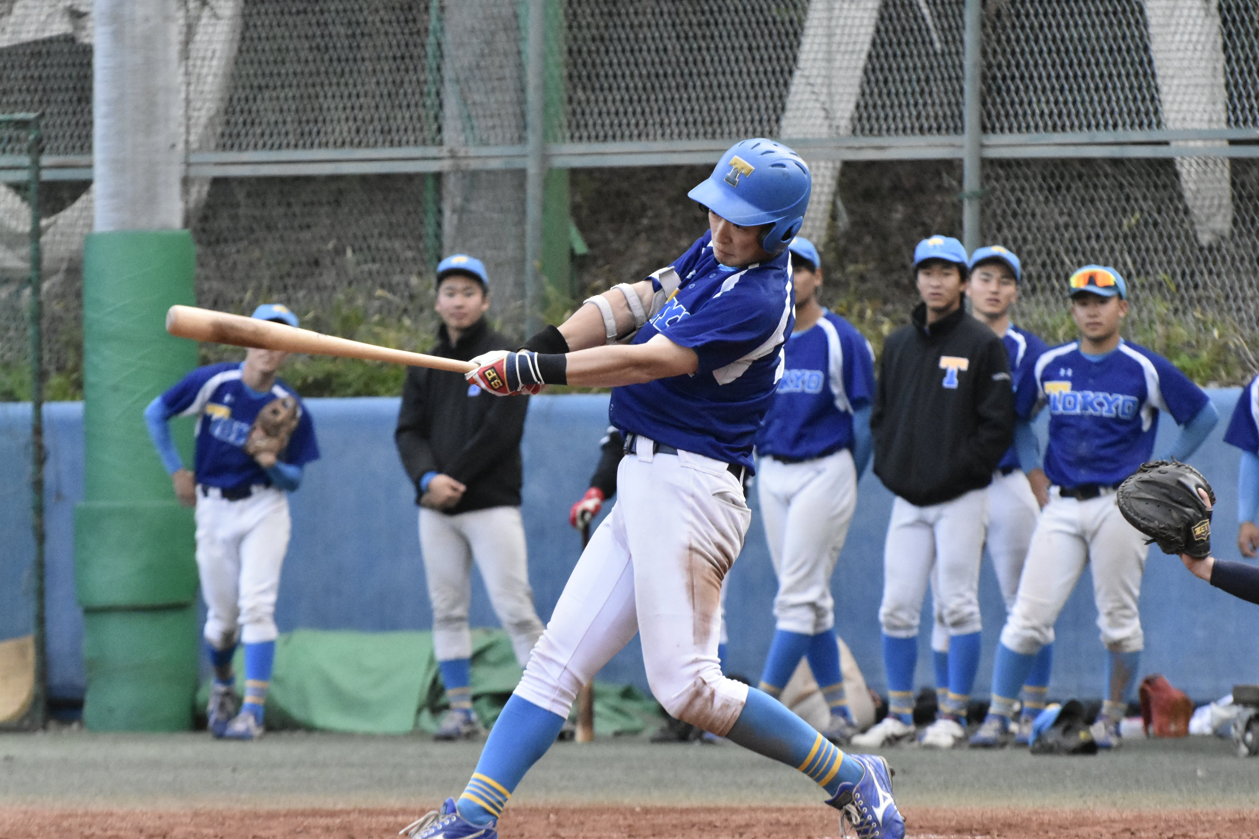2022年最新版☆高級感溢れる 東京大学 硬式野球ボール | vendee