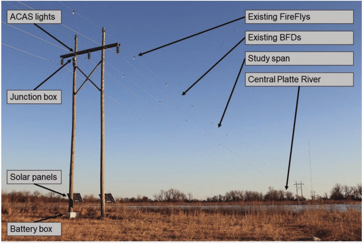 SafeLines4Birds's tweet photo. How can we prevent 🦢 collision at night? 
For the first time in 🇪🇺  ACAS will be tested within the #SL4B project. This system was developed by our partner @EDM_Colorado from 🇺🇸 &amp; involves UV light on lines to make them more visible to 🦅 in the dark.👇 
https://t.co/jlXncVnEsR https://t.co/VatBHWGm00