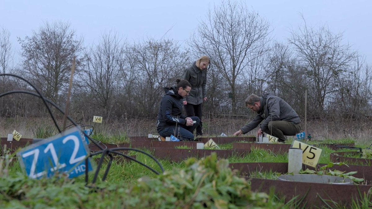 JasperWubs's tweet photo. Excited to have started a new position as Group Leader @niooknaw In my research group, with #MerlijnSchram, #SamBielen and @GerritsGijs, we focus on #SoilBiodiversity, #SoilFunctioning, and how we can #Steer soil biodiversity for a sustainable use of land. https://t.co/wn4E5E6ppi