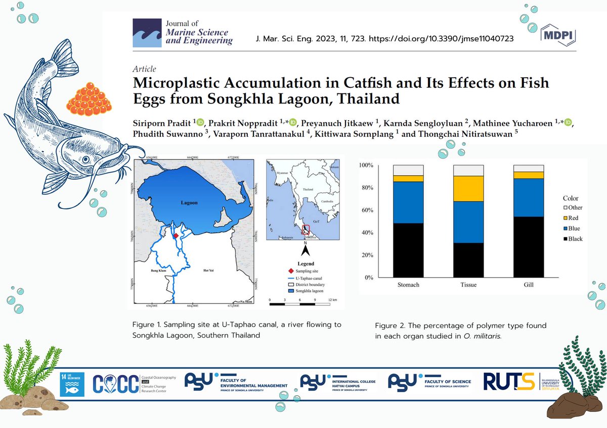 COCC_PSU's tweet photo. Our recent publication exploring of microplastic in catfish and eggs, full paper https://t.co/CUuPPcXXfv  

#COCC #PSU #OceanPollution @JMSE_MDPI https://t.co/EZBpva588A