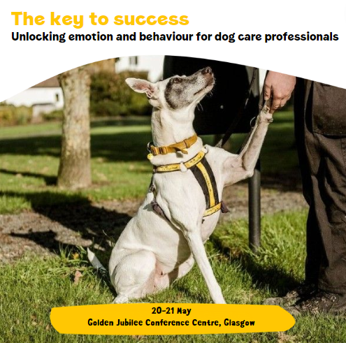 DT_WestCalder's tweet photo. ๐Calling all dog care professionals๐โ๐ฆบ
"The Key to Success: Unlocking Emotion & Behavior for Dog Care Professionals" on 20-21 May at the @GJCHotel in Glasgow๐จ
Book your spot here: https://t.co/LS2C0kr01h
#ADogIsForLife
#DogsTrust
#AdoptDontShop
@DogsTrust https://t.co/FMHtTGAvQH