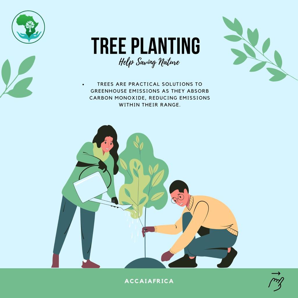 Tree planting are practical solution to green house emissions as they are carbon monoxide reducing emissions within their range.

#climatechange #environmentaldegradation  #treeplanting