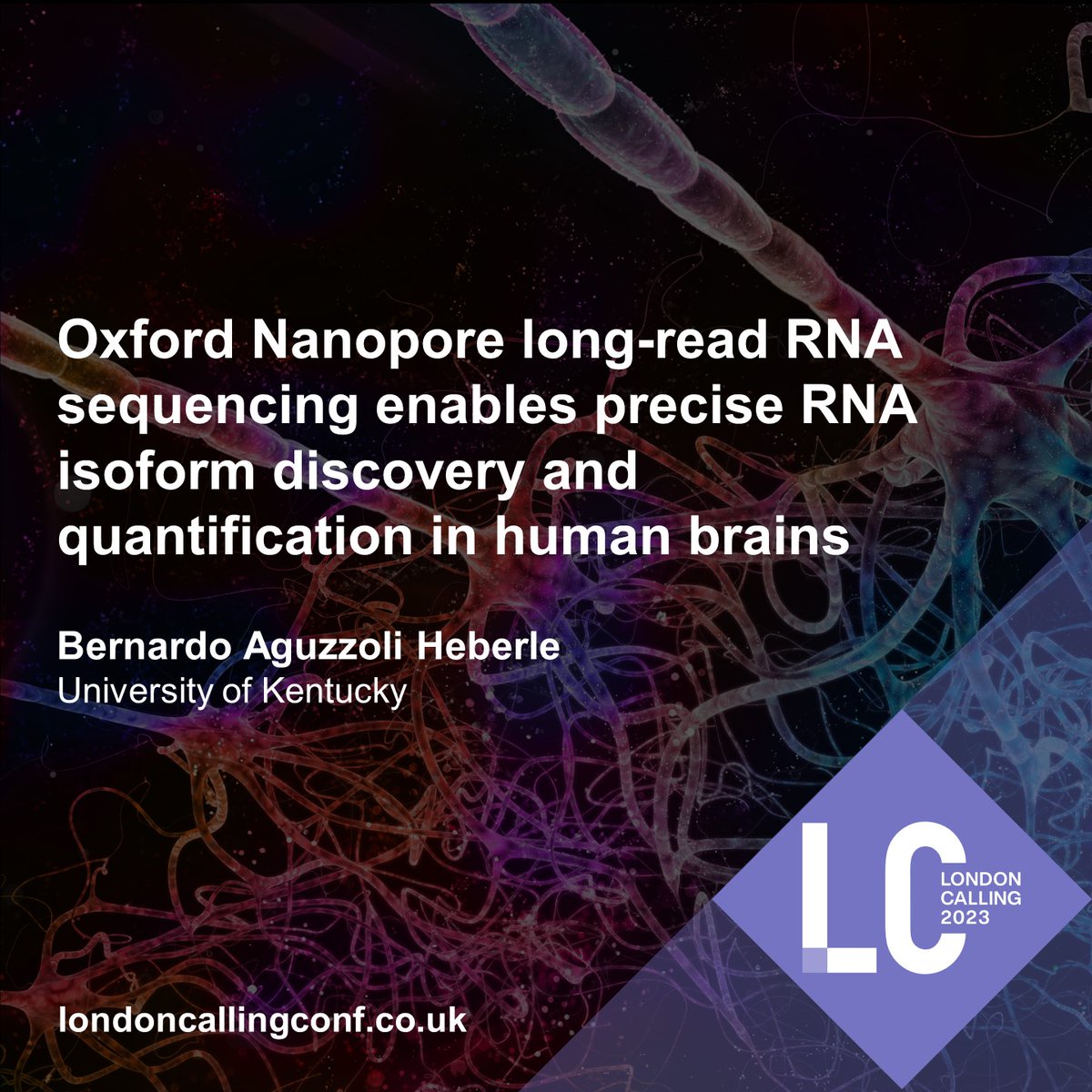 .@BernardoHeberle aims to determine if differential transcript isoform expression is associated with Alzheimer's disease. 

At #nanoporeconf, he'll discuss using #nanopore tech to identify #RNA isoforms (&amp; their functions) missed by other technologies: bit.ly/3lmJu0U