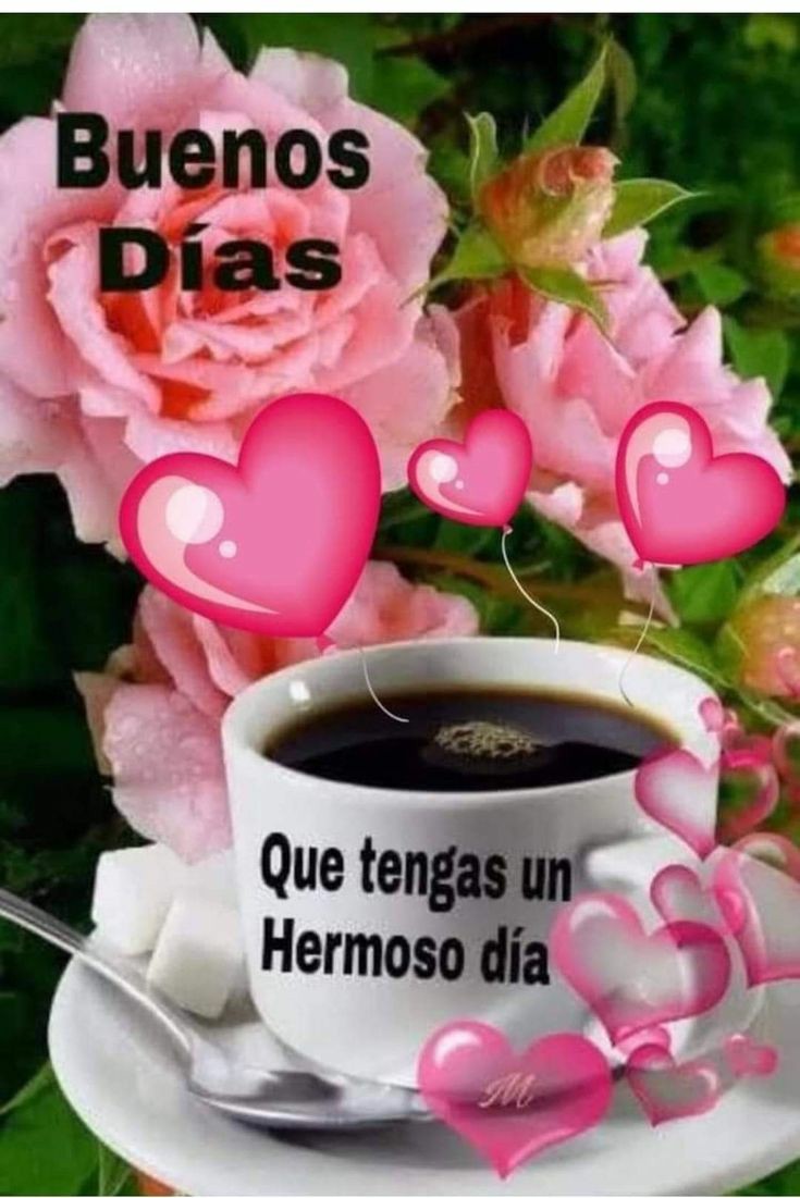 Hola buenos dias mi gente linda espero tod@s se encuentren bien y disfruten mucho de un excelente diaa🌥☕🥐🌹🤗😘💞🥰🐔❣🐔🥰🎶🤪Se me cuidan Si❤#BuenMiercoles para tod@s 💪💪