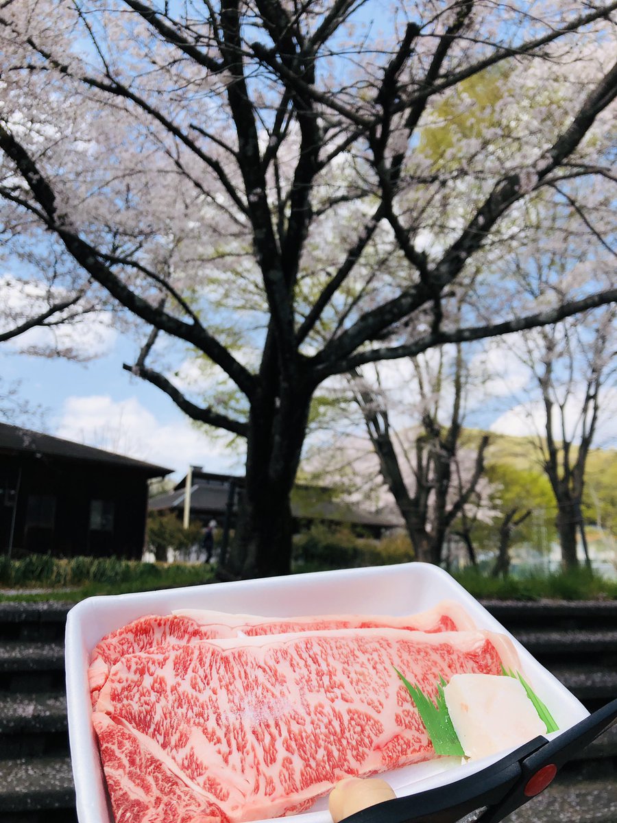 sa3n1to0's tweet photo. たくさんのメッセージをいただき、こんなにも皆様から覚えてもらえてたのかと驚き、サントが生きてくれた証が残ったようで感動しました。

皆様、本当にありがとうございました。

今日は49日だったのですが、@KOU6535 さんにいただいたお肉を「サントありがと〜」なんて言いながらいただきました。 https://t.co/IVRQNmqkCv