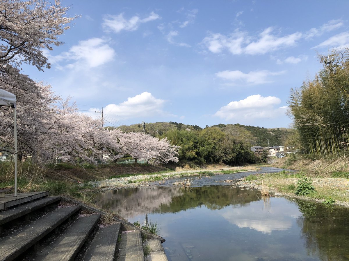 sa3n1to0's tweet photo. たくさんのメッセージをいただき、こんなにも皆様から覚えてもらえてたのかと驚き、サントが生きてくれた証が残ったようで感動しました。

皆様、本当にありがとうございました。

今日は49日だったのですが、@KOU6535 さんにいただいたお肉を「サントありがと〜」なんて言いながらいただきました。 https://t.co/IVRQNmqkCv