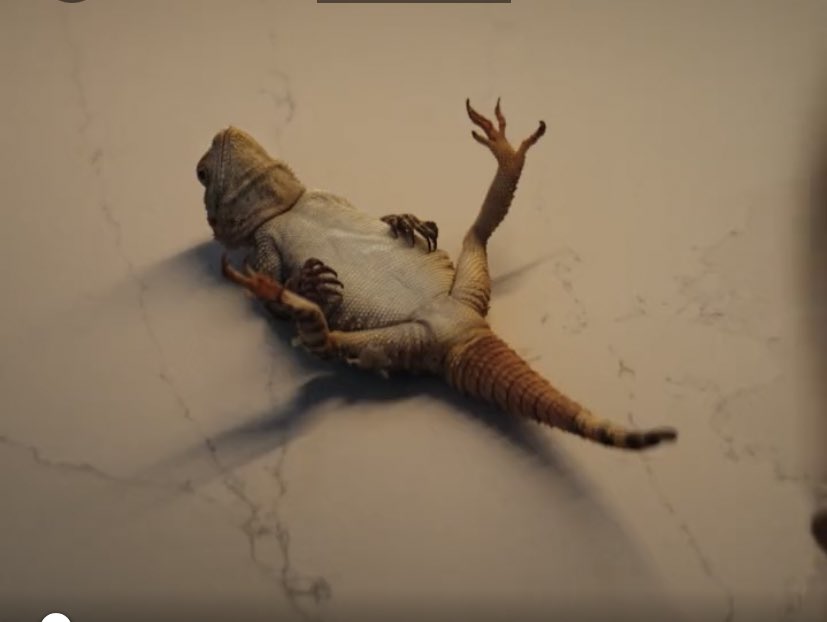 I was doggy styled 😂