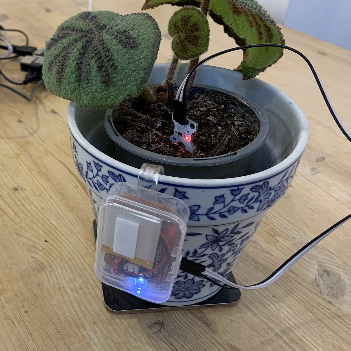PaterPracticus's tweet photo. …and after 21,540,000 milliseconds, the sensor is active again - just for a minute. #deepsleep #MonthofMaking https://t.co/x27nyUqlSW