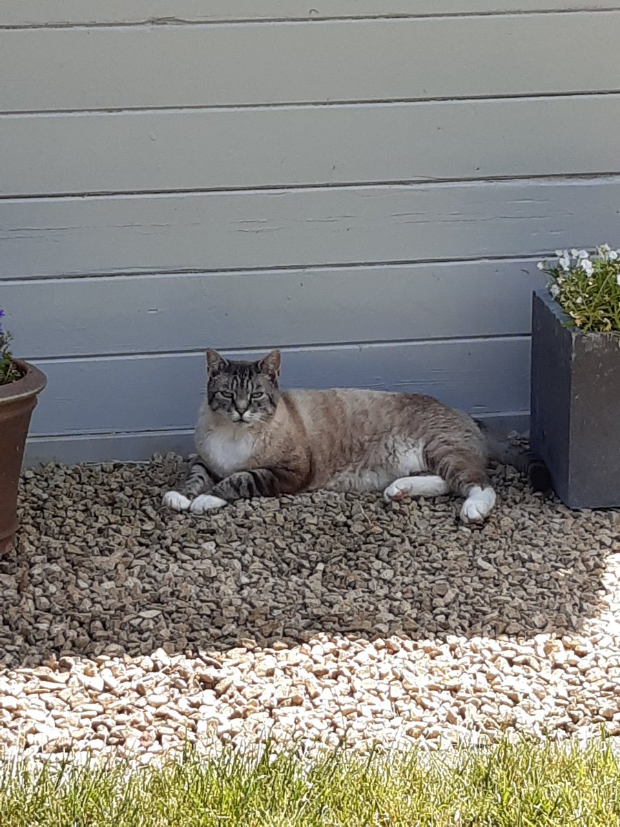 Geert Vanlaer (@geertvanlaer) on Twitter photo 