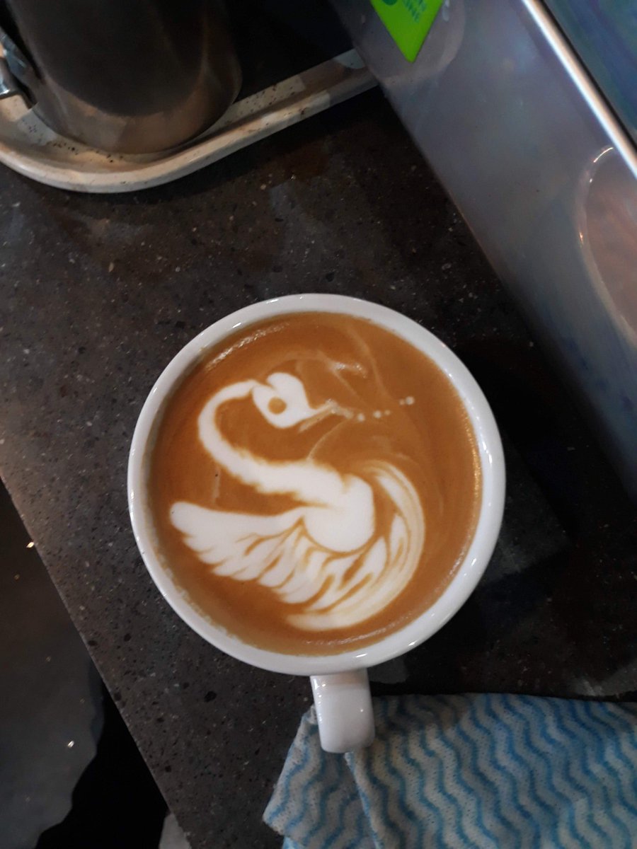 EtiquetteLew's tweet photo. Did you know I was a barista maestro in Costa coffee?

I was one for delivering the "fat white" even back then ~ https://t.co/aDamFR33IM
