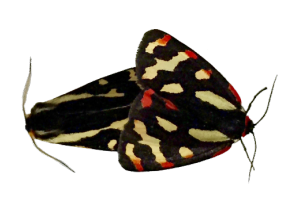 Sandra Winters tweet media