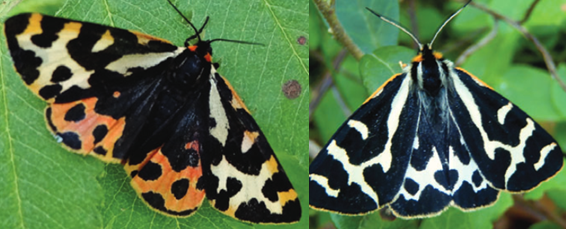 Sandra Winters tweet media