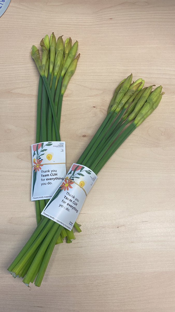 CUH_RespNurses's tweet photo. Happy spring everyone!
Thank you @CUH_NHS and @ACTcharity for these bunches of daffodils 💛 https://t.co/HjqCb9apbC