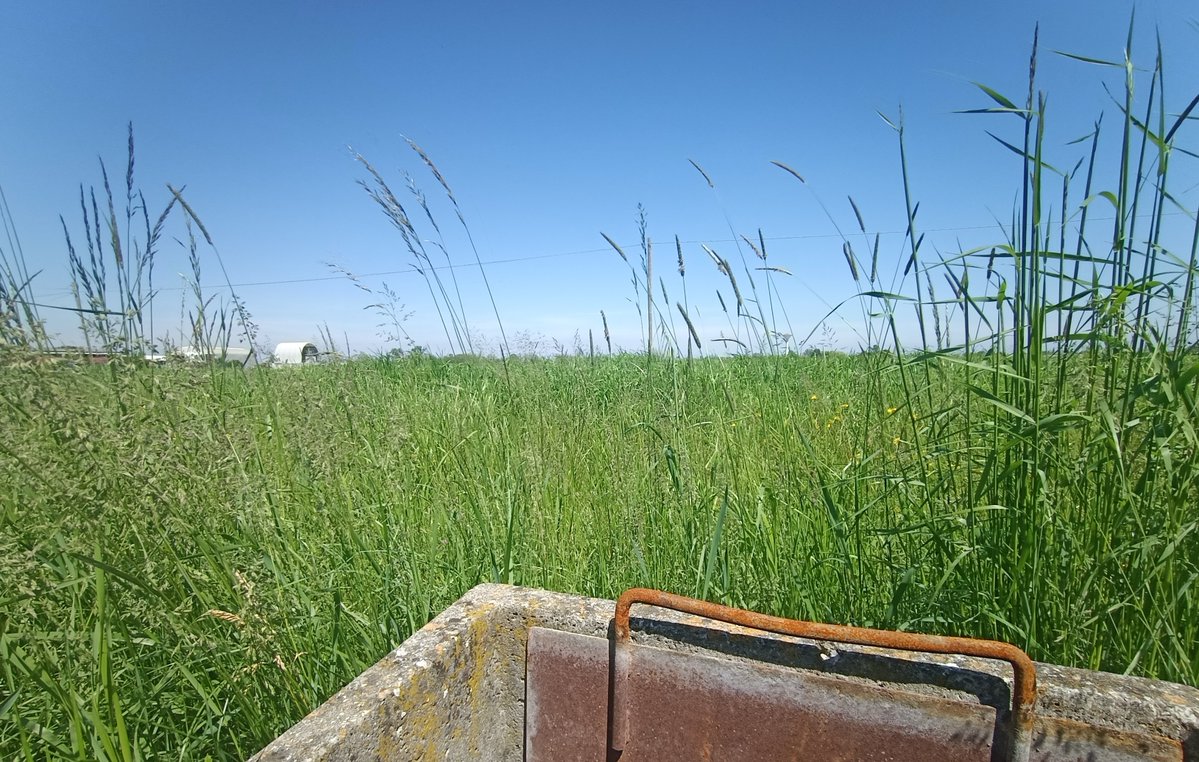 Soluzioni 4.0 per risparmiare #acqua nell’irrigazione delle risaie e dei prati polifiti è l’obiettivo del progetto #Superirri per la sostenibilità dei prodotti agricoli tipici del territorio emiliano-romagnolo 🧀🌾
goi.crpa.it/nqcontent.cfm?…
#cer <a href="/irriframe/">irriframe</a> <a href="/ANBIRegioneER/">ANBI EMILIA ROMAGNA</a> <a href="/RegioneER/">Regione Emilia-Romagna</a>