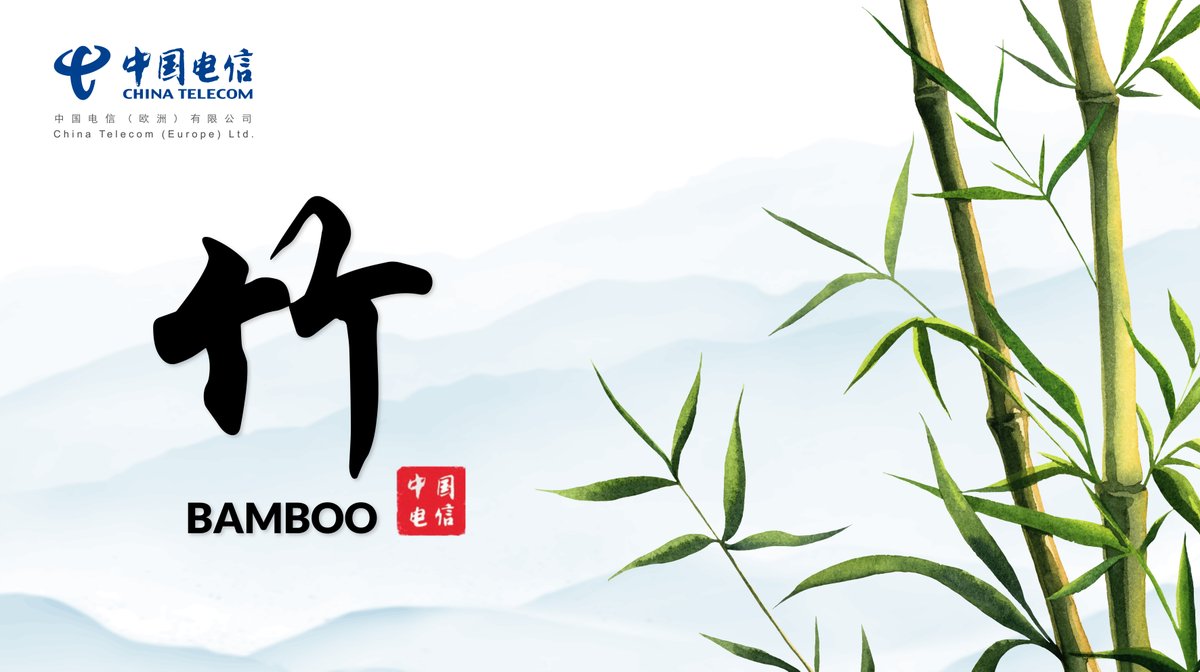 Bamboo combines upright integrity with accommodating flexibility, so as our ICT and managed services.
More details for you to discover in the CTE brochure about ICT and managed services:
hubs.li/Q01Jn7d00