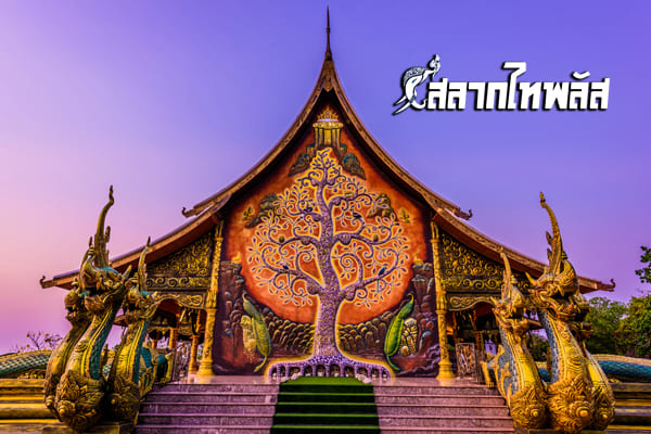 salagthai's tweet photo. สลากไทพลัส พาชม วัดเรืองแสง
อ่านเพิ่ม
https://t.co/VKw5pSIw06

สลากออนไลน์ใบละ 80บาทไม่บวกเพิ่มถูกรางวัลรับเต็ม ไม่หักค่าธรรมเนียมใดๆทั้งสิ้น สนใจสอบถามเพิ่มเติมที่ 
LINE : @ S T P L U S 
หรือสมัครด้วยตัวเอง 
https://t.co/xTgbr9q1um

#สลากไทพลัส #ไทพลัส #กองสลากไทพลัส #กองสลากไท https://t.co/9NCJ8upJXm