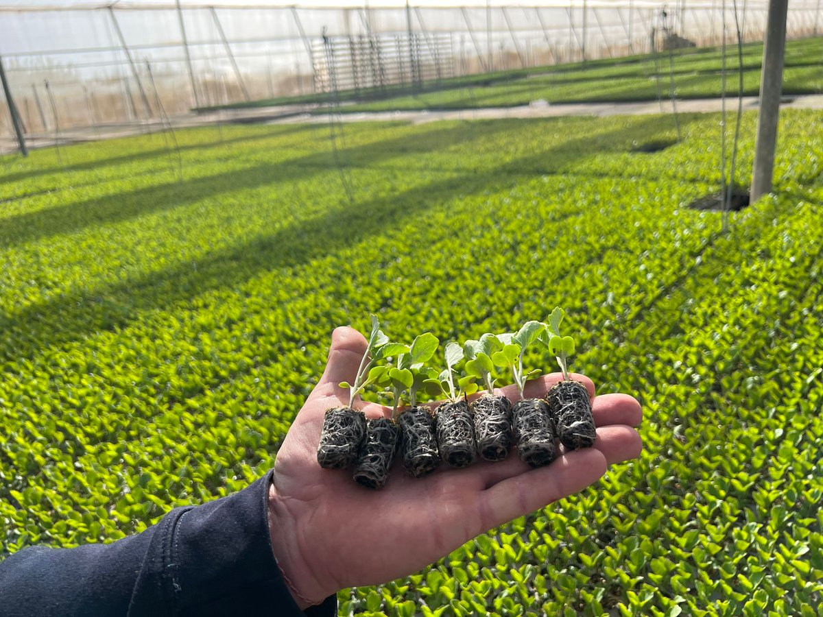 eComercioAgrario tweet media