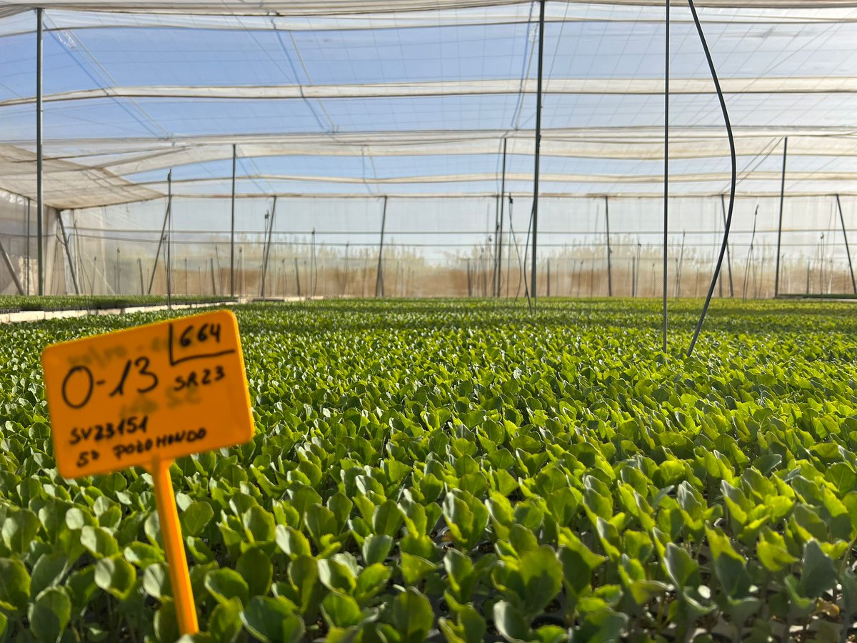 eComercioAgrario tweet media