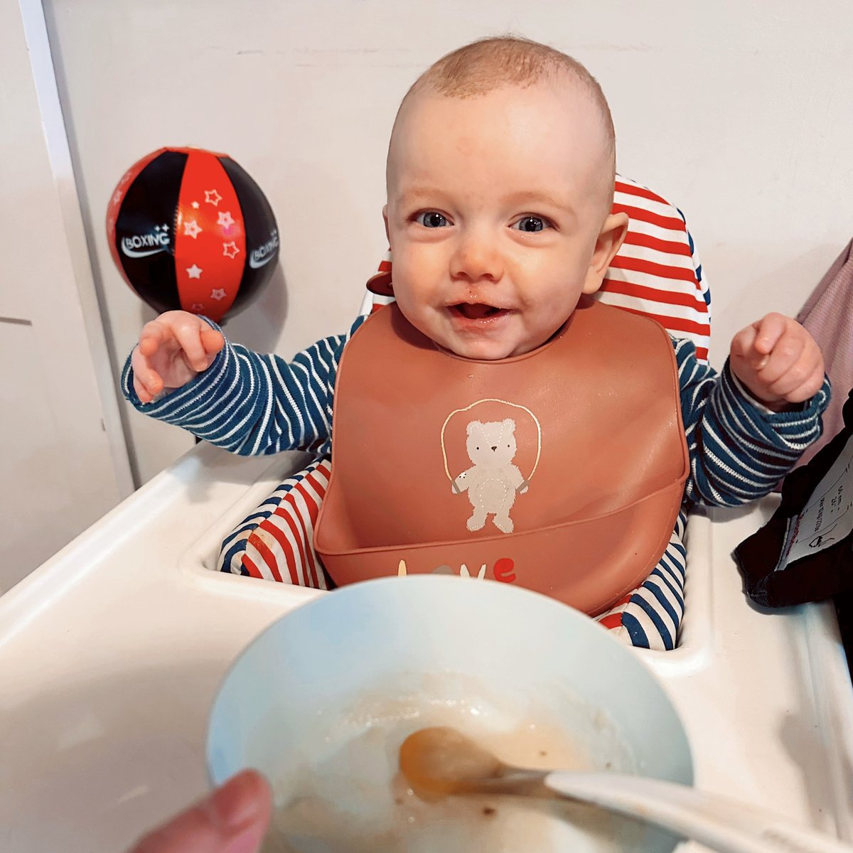 EllieMyhill's tweet photo. My little pudding ❤️ he is absolutely loving having pear 🍐 and apple 🍏 for breakfast 🥰💖 

I can’t believe how big he is getting already 🥹 https://t.co/tG0P4Vxpgb