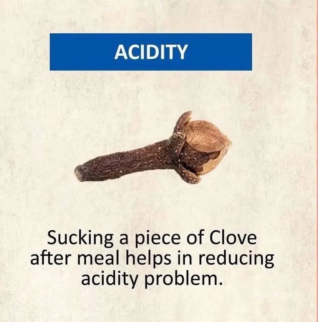 Get Rid of Some Health Issues With Plant-Based Dietary Solution. 1. Acidity = Clove