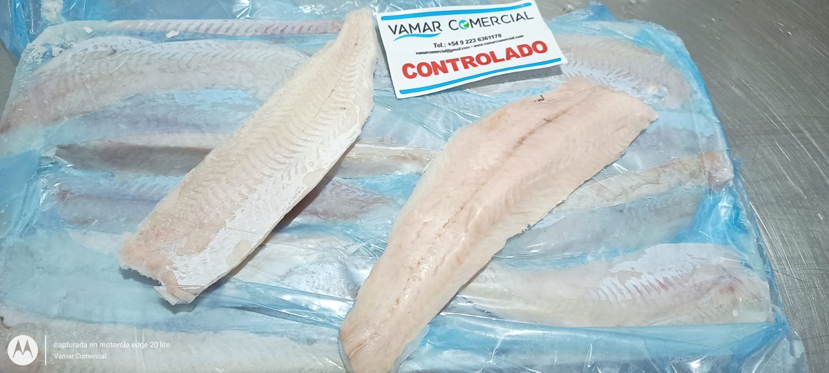 HSITCSales's tweet photo. #Hake 🐟 #Fillet #Hubssi IQF Origin Argentina.  #Fish 
FOB $3770 
CFR $4070.  
Payment Terms.  
TT 30%/70% 
MOQ 3 40ft Containers ( 27/28 MT)
Contact to me by whatsapp 👇🏻👇🏻👇🏻
https://t.co/srqHSvBGfj
#brasil #usa #españa #Italia #israel #china #Asia #Europe #Africa https://t.co/0NAjdxAiOx