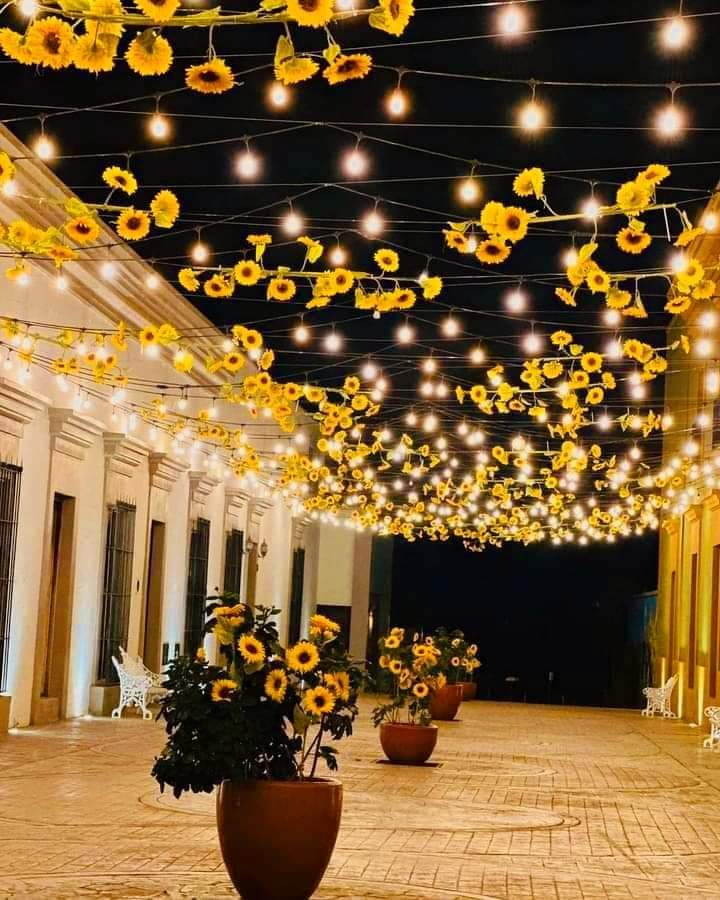 GirasolSonrient's tweet photo. @escritosrame Mocorito,Sinaloa✨️🌻 https://t.co/iGY35IkMPJ