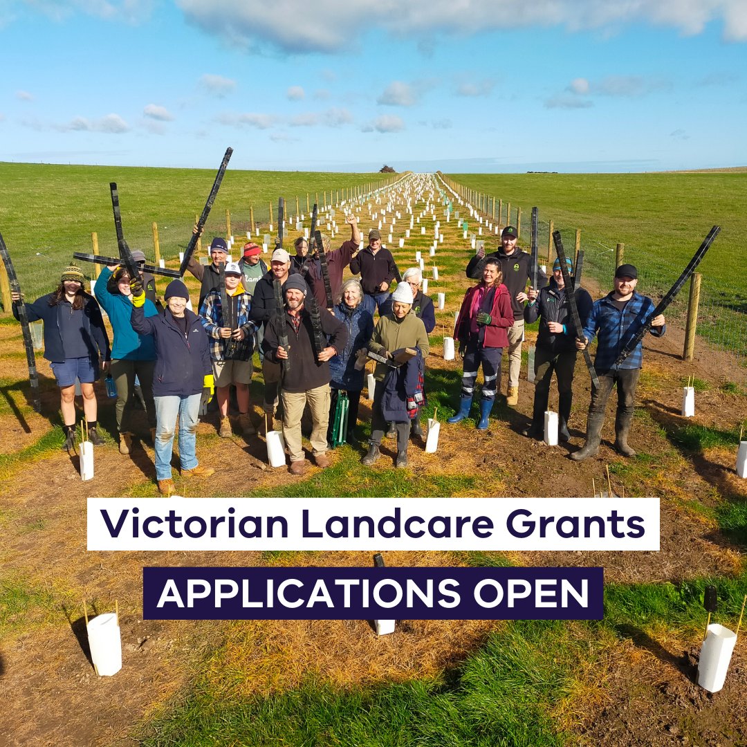 The 2023 Victorian Landcare Grants are now open! 🌱🌳🏞️ Environmental volunteer groups can apply for grants up to $20k for projects that help protect and restore the natural environment. Details: environment.vic.gov.au/grants/victori…