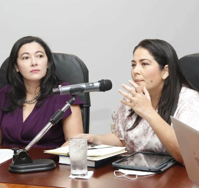 espaciocivico's tweet photo. @espaciocivico participó del Conversatorio sobre #extincióndedominio organizado por @CCIYAP

Participaron, Sabrina Tejada - Experta legal y Leah de Boersner Vicepresidenta de la Fundación, junto a la Fiscal Sara Salazar - Juez de Extinción de Dominio de Colombia. https://t.co/uy0uqXkYzc
