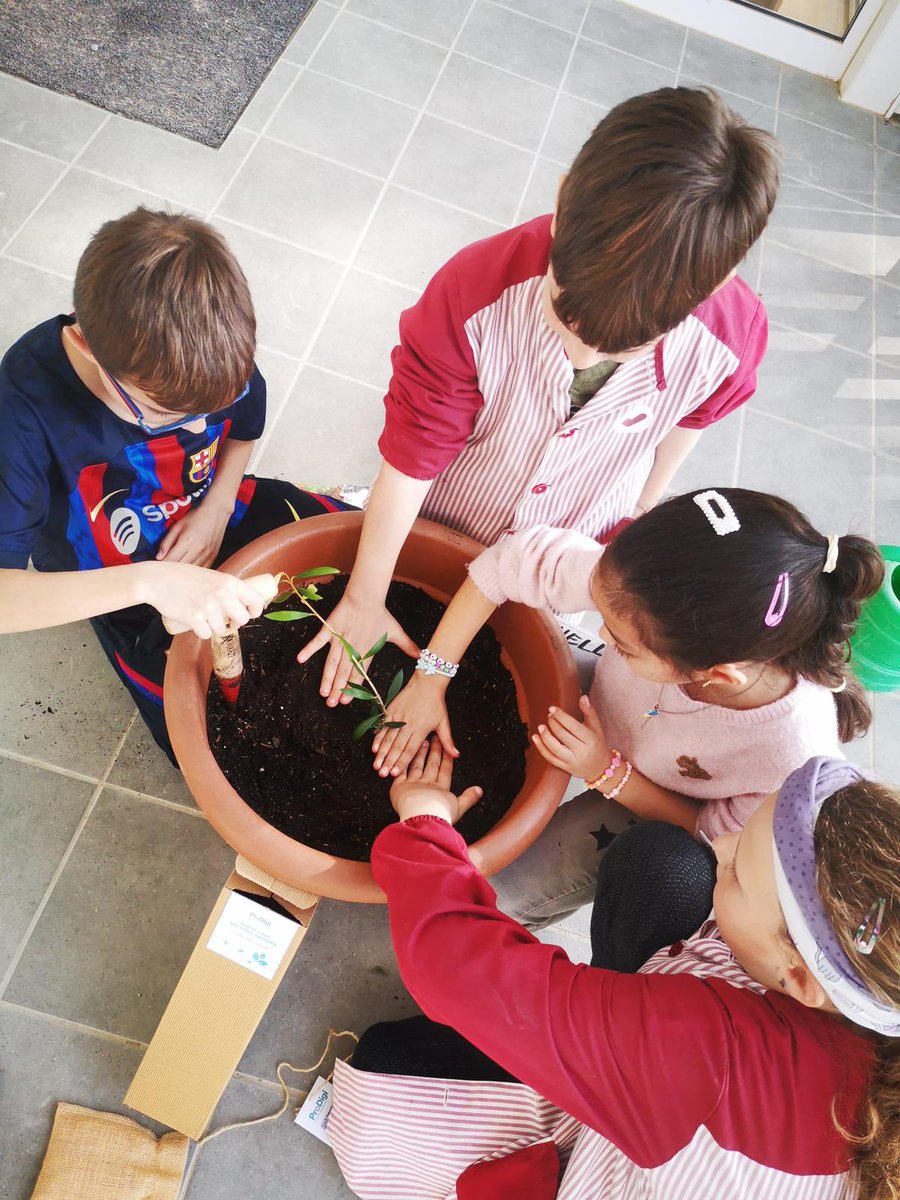 vedrunasallent's tweet photo. Plantar un arbre, cuidar-lo i veure'l a créixer és també una acció educativa. 
A l'escola hem plantat una olivera. La cuidarem i cultivarem la paciència per fer-la créixer. 
Gracies #editorialteide per aquest regal. 
#vedrunasallent #escolavedruna  #teideprojectes  #intensament https://t.co/zwMO6xXOyF