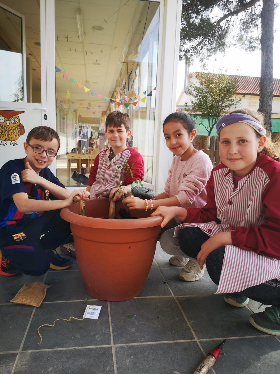 vedrunasallent's tweet photo. Plantar un arbre, cuidar-lo i veure'l a créixer és també una acció educativa. 
A l'escola hem plantat una olivera. La cuidarem i cultivarem la paciència per fer-la créixer. 
Gracies #editorialteide per aquest regal. 
#vedrunasallent #escolavedruna  #teideprojectes  #intensament https://t.co/zwMO6xXOyF