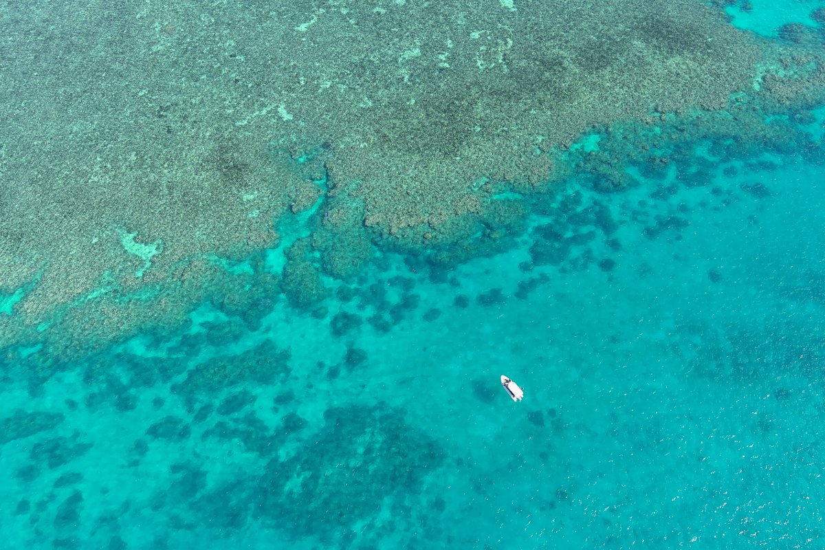 urchinhunter's tweet photo. Job! Job! Job!
Apply for a Macquarie University Research Fellowship with us at @MEG_MQ! If you have an outstanding track record and your PhD was conferred on or after 1 March 2020, DM me for further eligibility. Closes 26 April 23, diversity embraced. https://t.co/edz3atsMlf https://t.co/ETsQnbTAKg