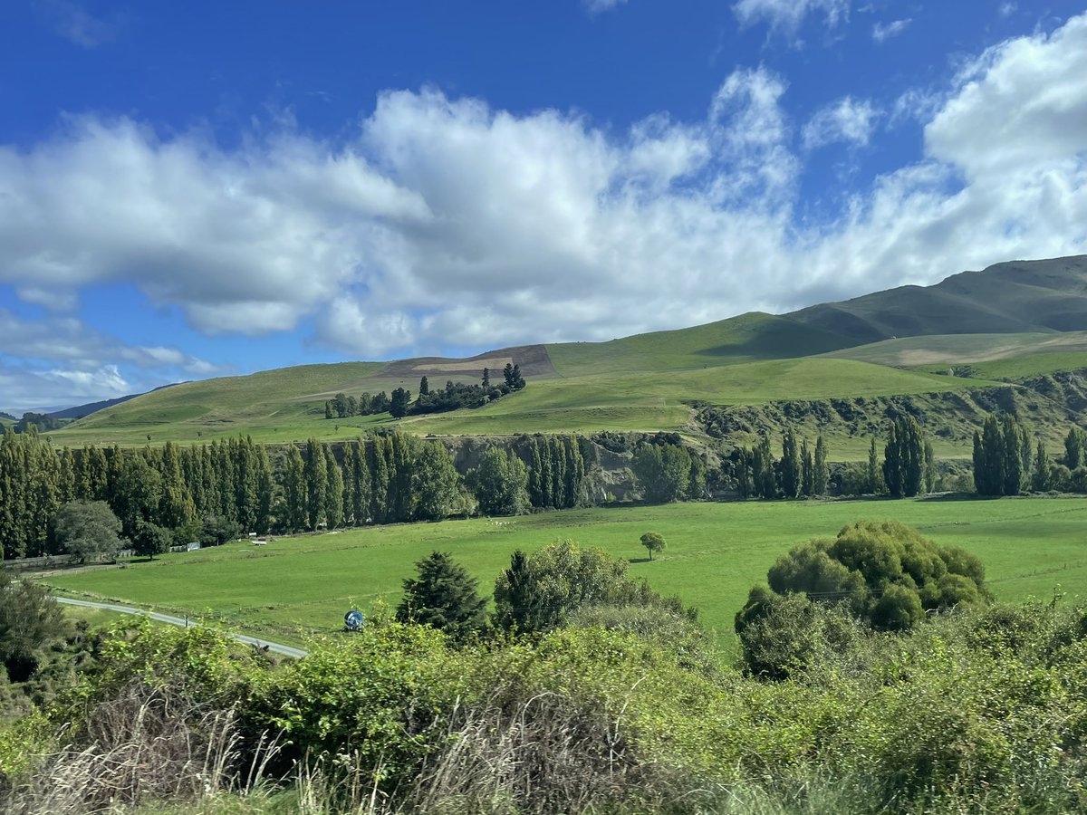 Johnny Gardner tweet media