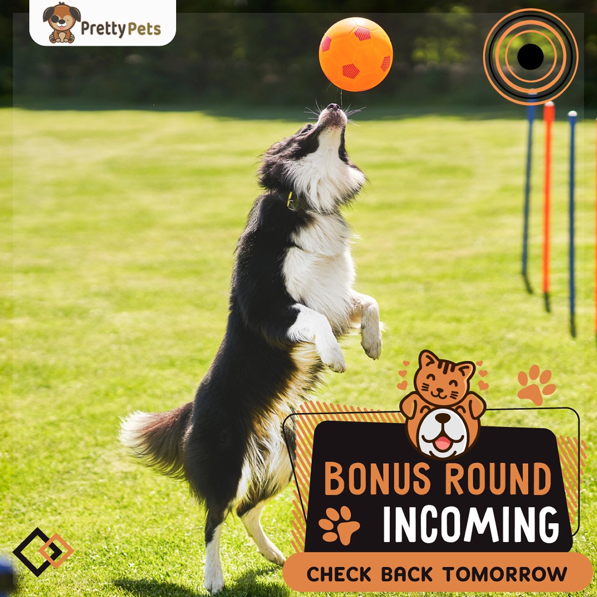 BONUS INCOMING! Only registered voters  with verified contact numbers on the website at prettypets.co.za can claim extra bonus votes tomorrow!

#prettypets #competitionsa #prettypetsza #pets #pet #dog #dogsouthafrica #mzansidogs #catinfluencer #child #furchild #furbaby