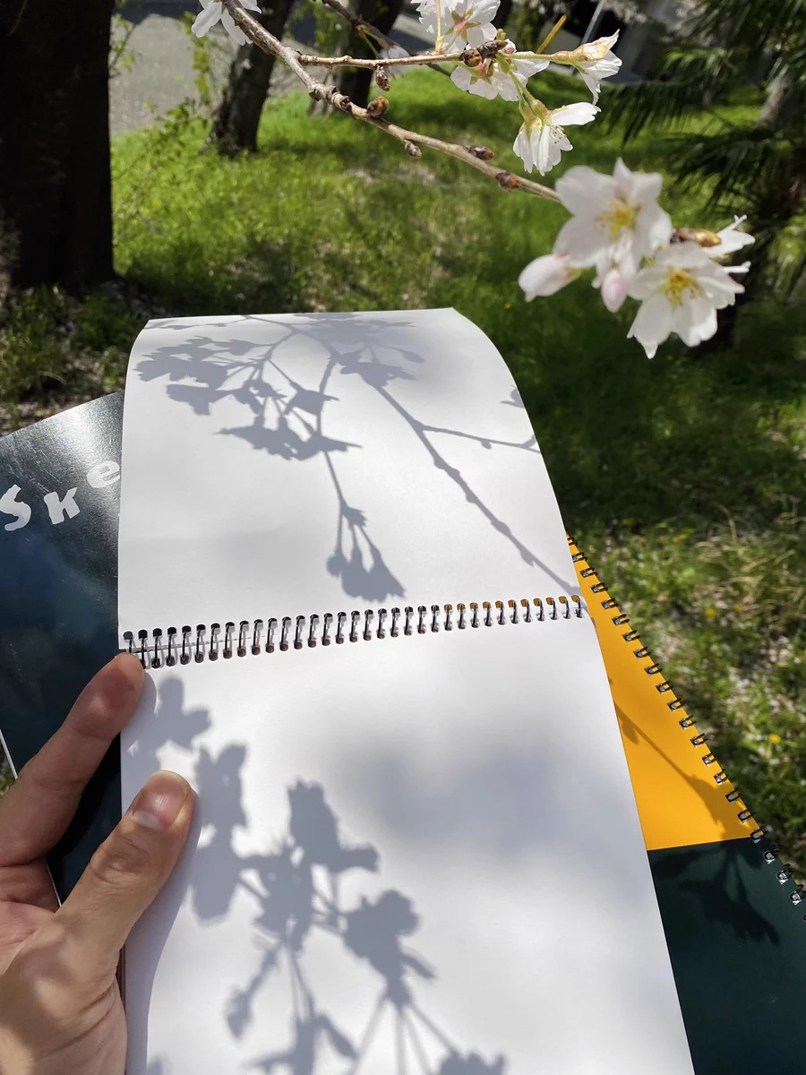 桜の木からのメッセージ？！スケッチブックに写る影が美しい！