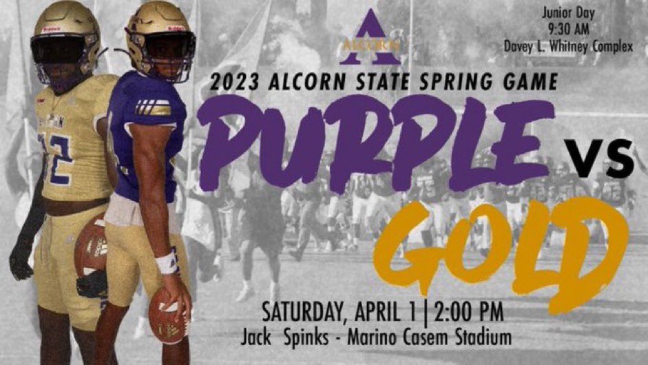 RicardoPowellJr's tweet photo. Blessed to be invited to @AlcornStateFB  Junior Day💜💛@FredMcNair5 @CoachWratten @RidgelandFB @MississippiFra1 https://t.co/dWzmWOxEFT