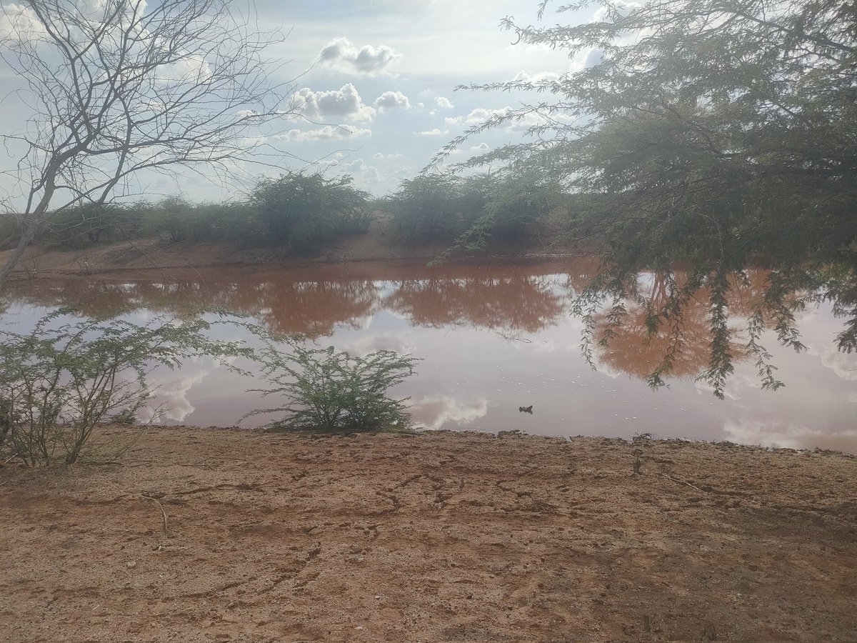 KECOSCE's tweet photo. @KECOSCE participating in a action learning cycle community engagement forums on #waterconflicts #ClimateCrisis analysis. sponsored by @UNDPKenya in Yagrit in Bangale ward and Hambarese in Sala ward with Tana River  county water department @NDMA_Kenya @VOXRADIO3 @Phyllis_Muema https://t.co/kjf5CeEb2i