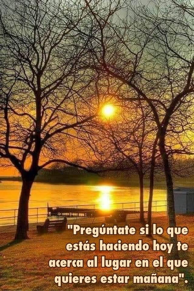 NATURALEZA (@naturalezav3) on Twitter photo 