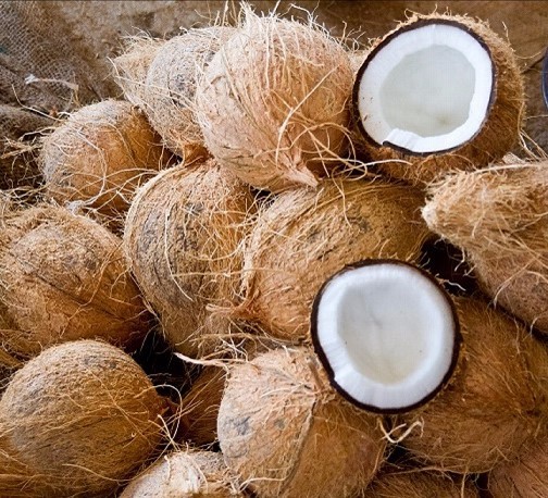 Semi-Husked coconuts Ready for exports... #importer #exporter #coconut #semihuskedcoconut #coconuts #coconutexporter #exportquality #importers #exporters #indianexporters