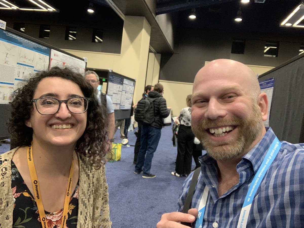 David Dranow 🇮🇱 tweet media