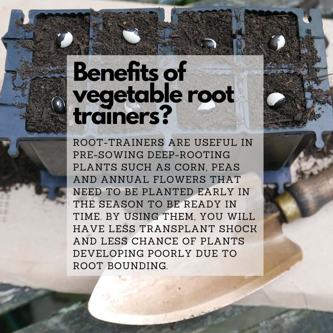 Our vegetable root trainers are ideal for vegetable growing!