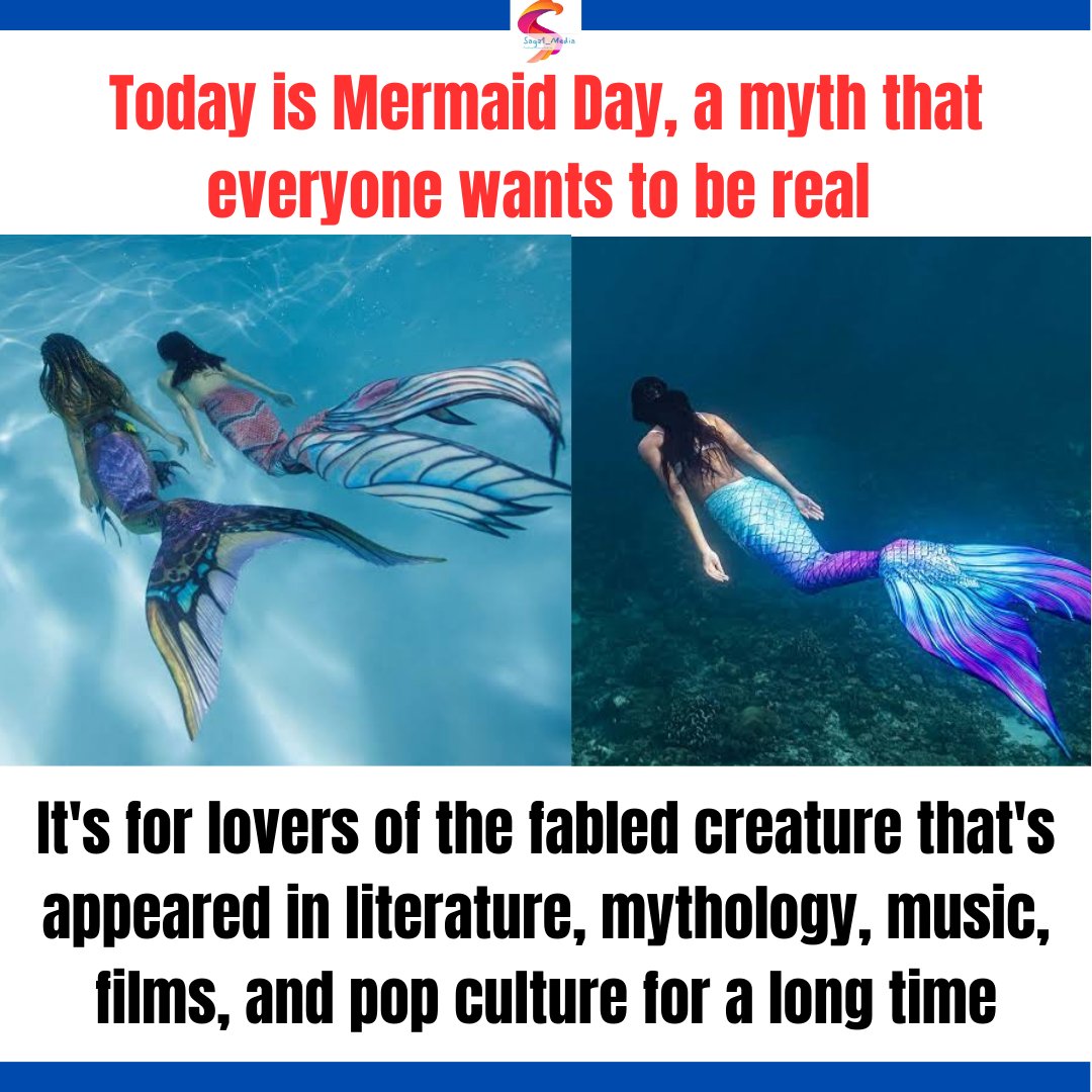 Mermaids have always had a special place in people’s hearts. Whether it’s the Disney version or the graceful sea creatures we all imagine when we picture mermaids they are irresistible.
#mermaid #mermaidlife #mermaidhair #avatar #sea #sealife #fish #mermaidtail #disney #memes