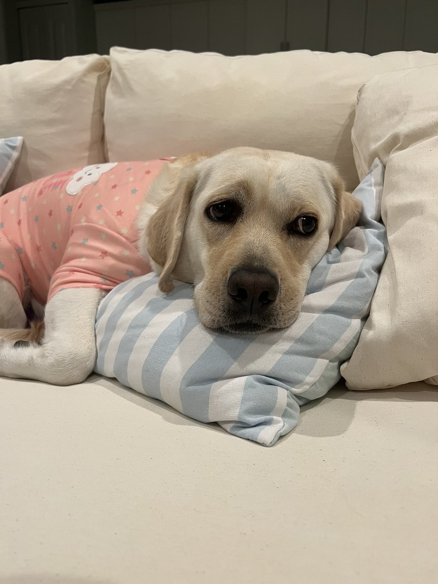 DailyNoriPics's tweet photo. Goodnight pals 😴🥱 https://t.co/jljoFtqzBs