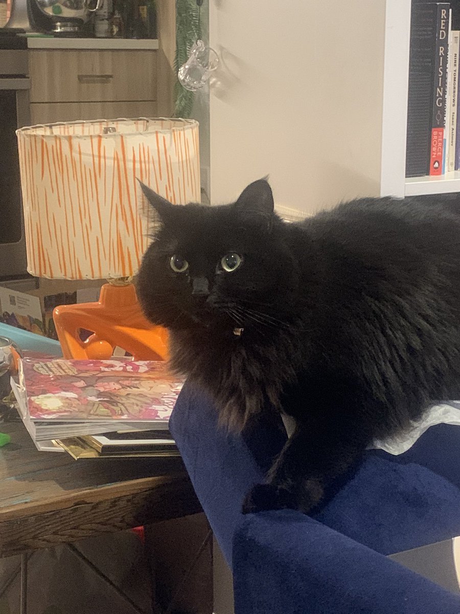 she’s just a little guy