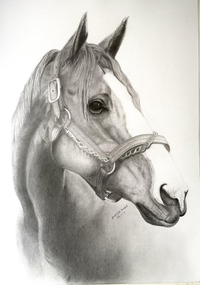 AyeshaKhanArt's tweet photo. Happy Birthday Justify
#bobbaffert #justifyhorse #triplecrown #americasbest #HorseRacing #winstarfarm #chinahorseclub #bloodhorse #equestrian https://t.co/Q1sVVdrSe8