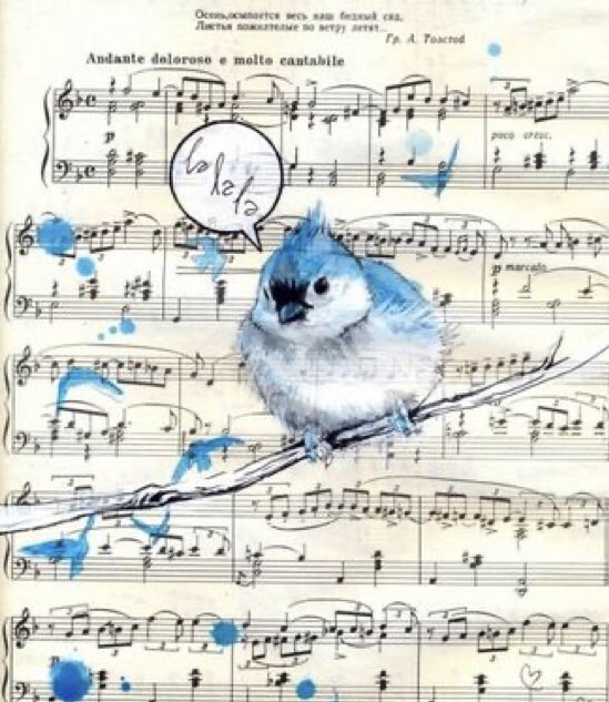 sphoenix78's tweet image. Good Morning…☀️
“A bird does not sing because it has an answer, it sings because it has a song.”
Maya Angelou
Have a lovely day. Listen to the bird song…they have so much to say. Stop and give yourself permission to listen. What will your song say today? Be kind💜