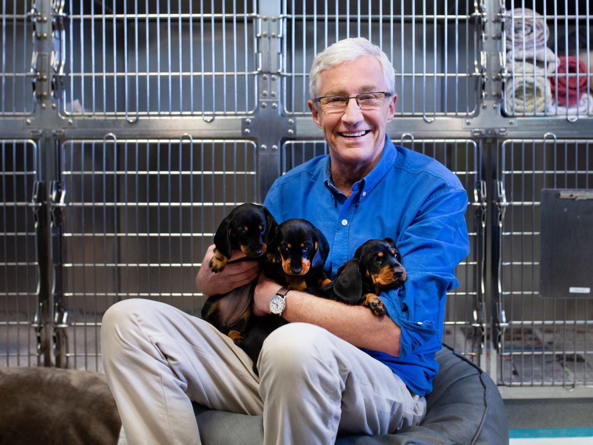 Lee Patriot Hood tweet media